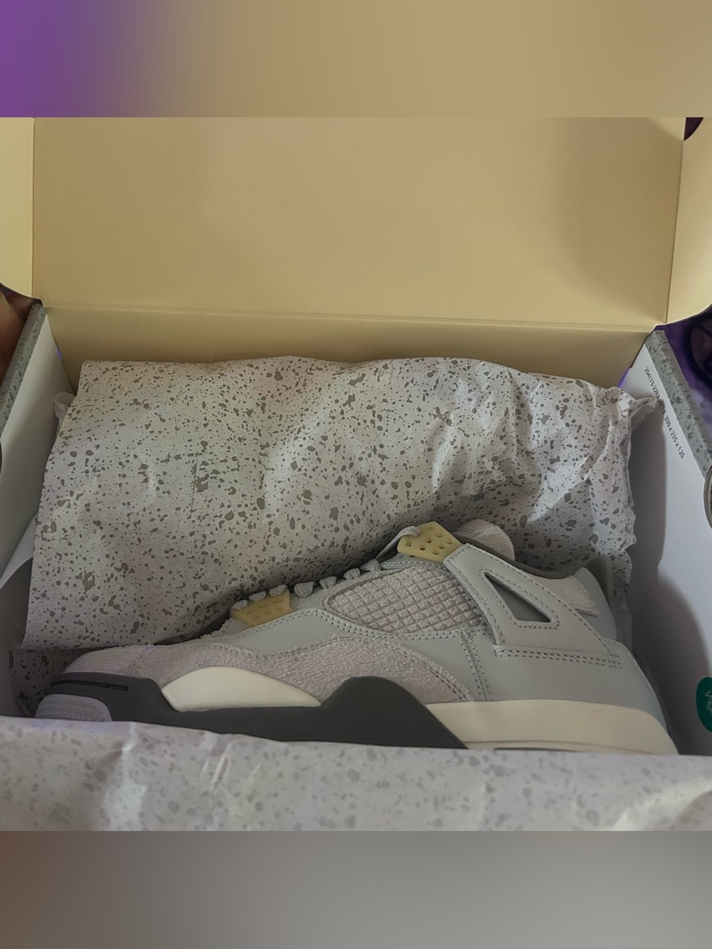 Air Jordan 4 Retro SE Photon Dust Deadstock